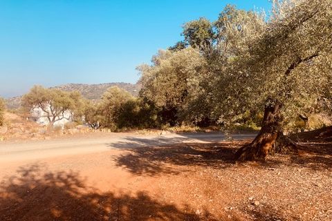 Helårsgrund i Comares, Malaga, Comares - € 25.000 | Ref: ID3898 - foto 2